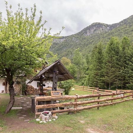 הוילה בוהינסקה ביסטריצה Lizina Hiska House Bohinj מראה חיצוני תמונה