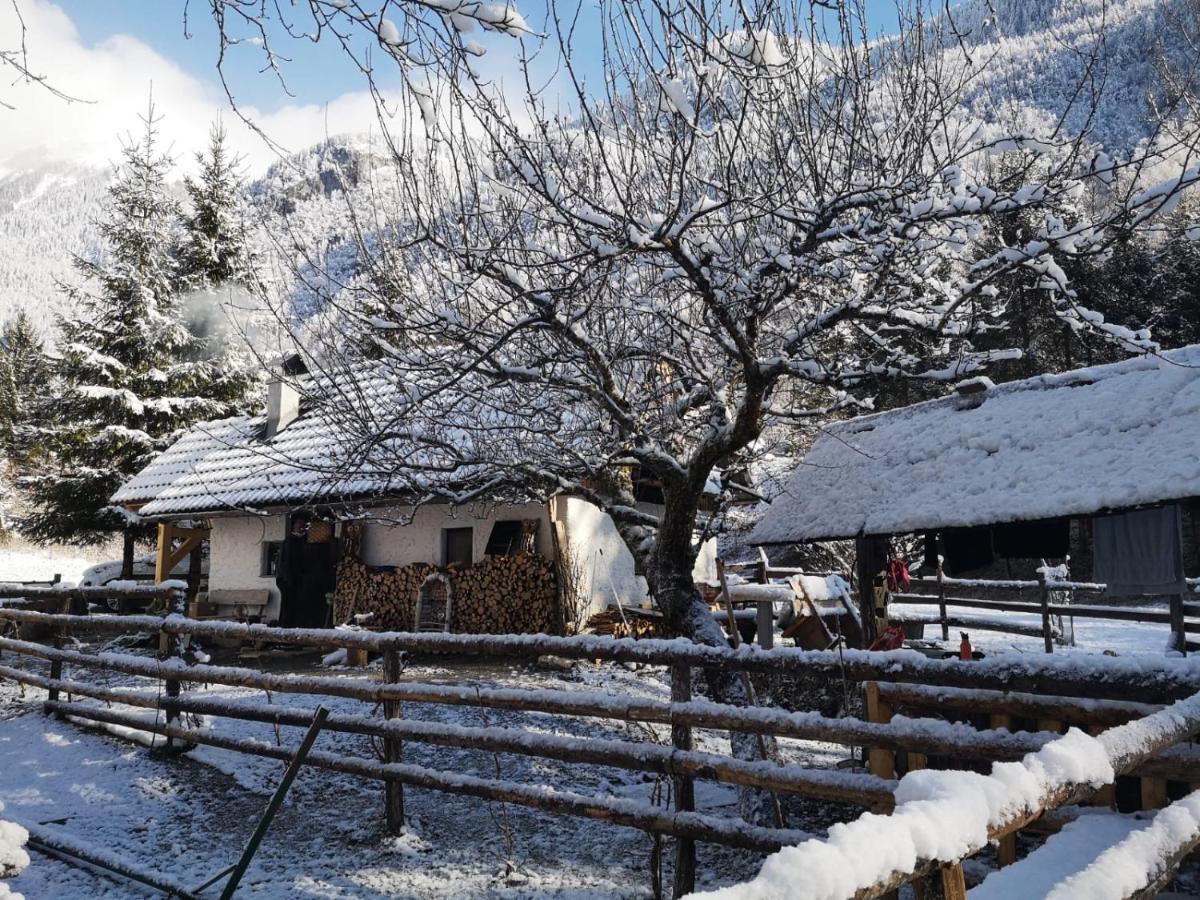 הוילה בוהינסקה ביסטריצה Lizina Hiska House Bohinj מראה חיצוני תמונה