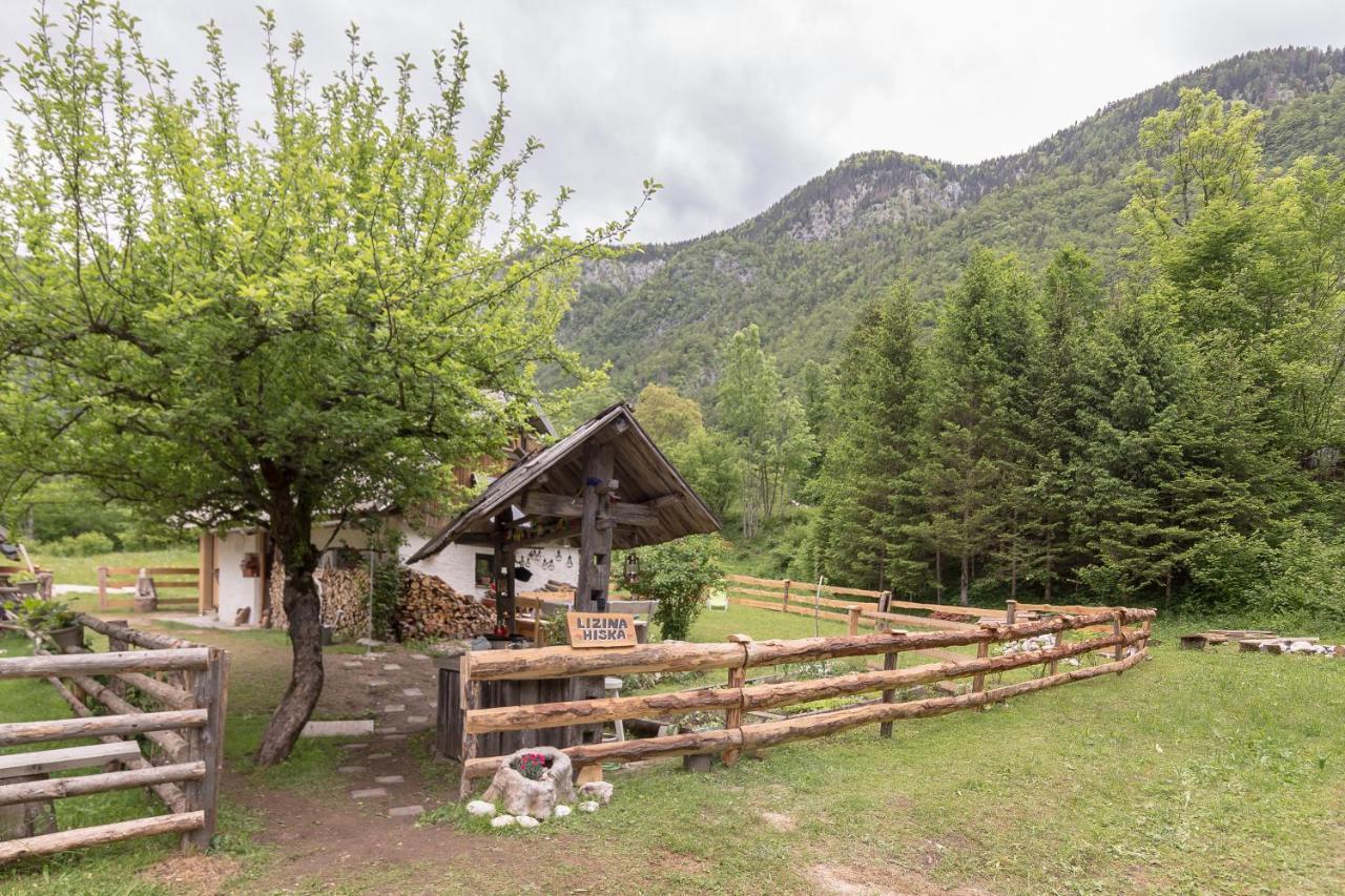הוילה בוהינסקה ביסטריצה Lizina Hiska House Bohinj מראה חיצוני תמונה