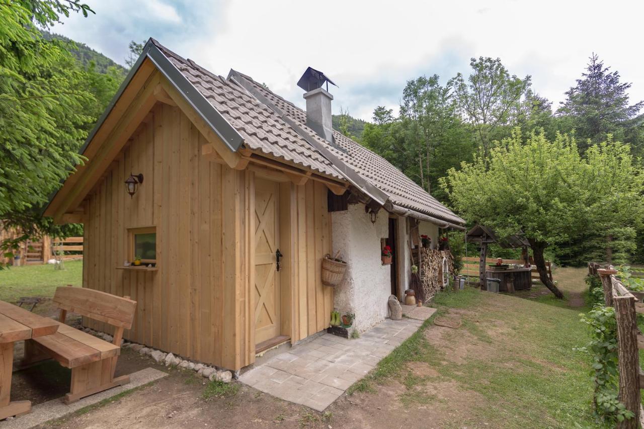 הוילה בוהינסקה ביסטריצה Lizina Hiska House Bohinj מראה חיצוני תמונה