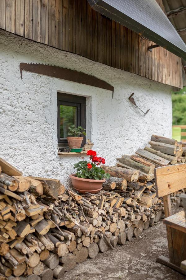 הוילה בוהינסקה ביסטריצה Lizina Hiska House Bohinj מראה חיצוני תמונה