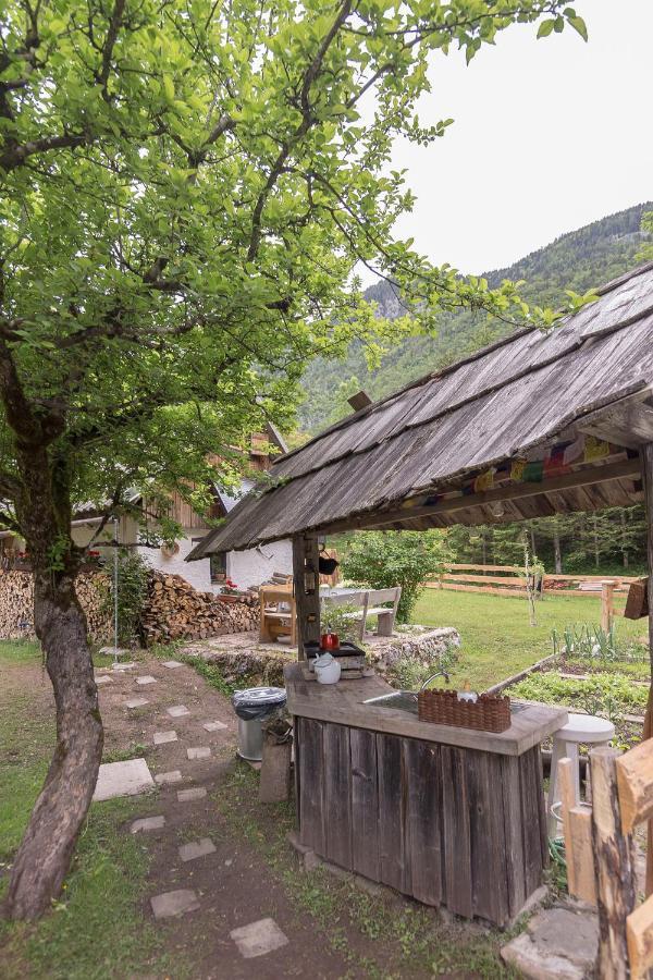 הוילה בוהינסקה ביסטריצה Lizina Hiska House Bohinj מראה חיצוני תמונה