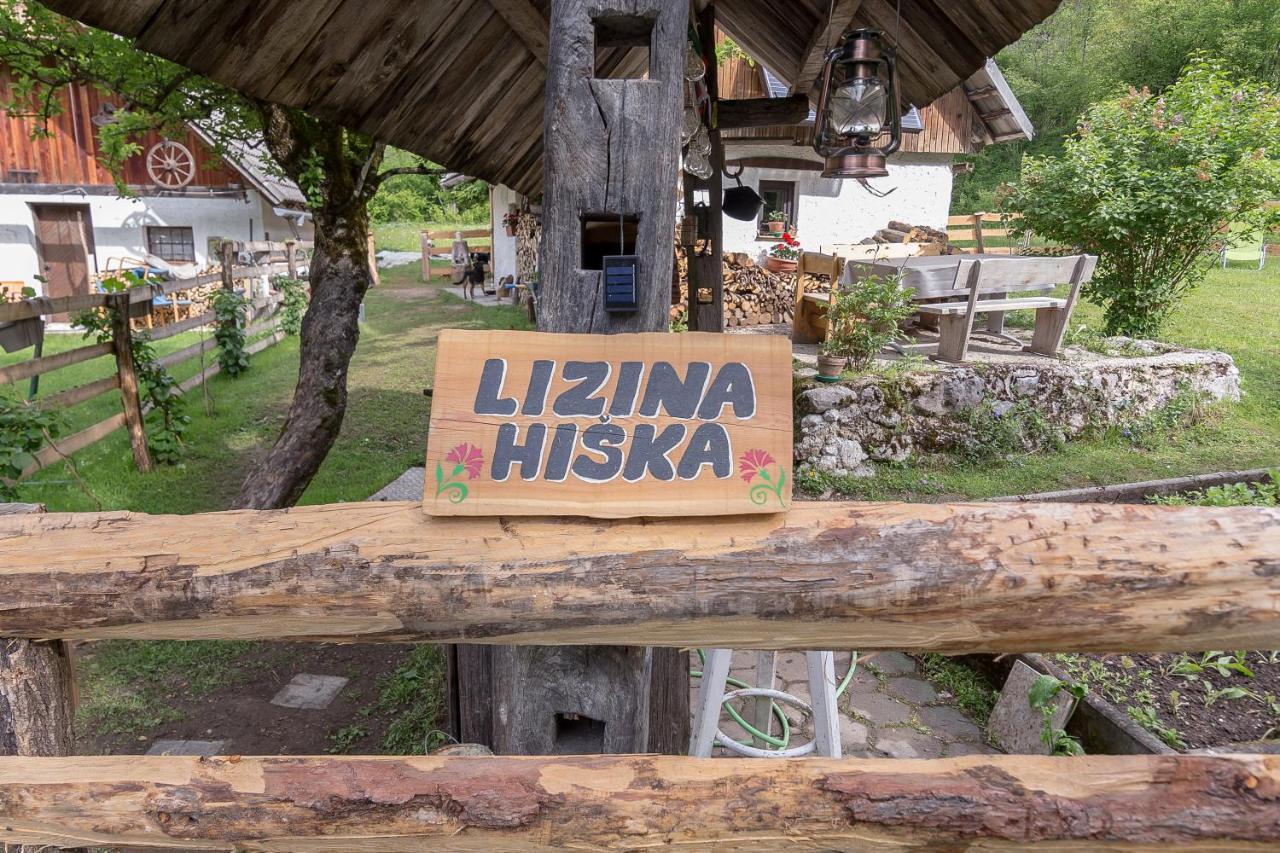 הוילה בוהינסקה ביסטריצה Lizina Hiska House Bohinj מראה חיצוני תמונה