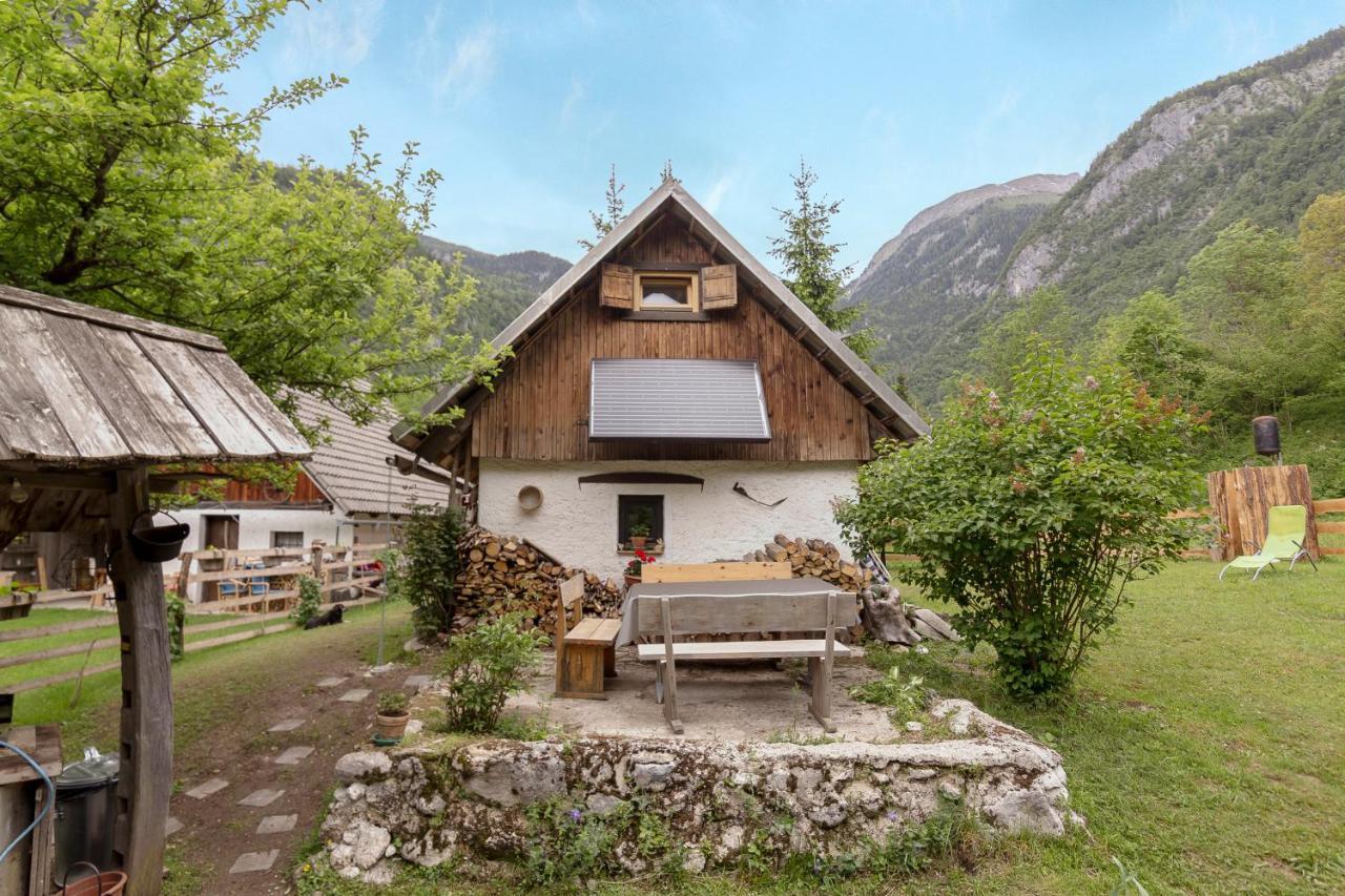 הוילה בוהינסקה ביסטריצה Lizina Hiska House Bohinj מראה חיצוני תמונה