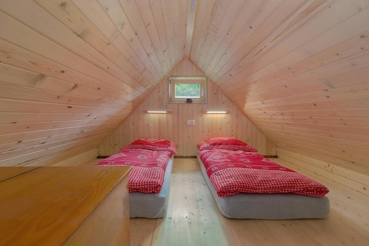 הוילה בוהינסקה ביסטריצה Lizina Hiska House Bohinj מראה חיצוני תמונה
