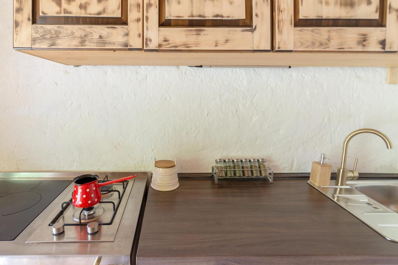 הוילה בוהינסקה ביסטריצה Lizina Hiska House Bohinj מראה חיצוני תמונה